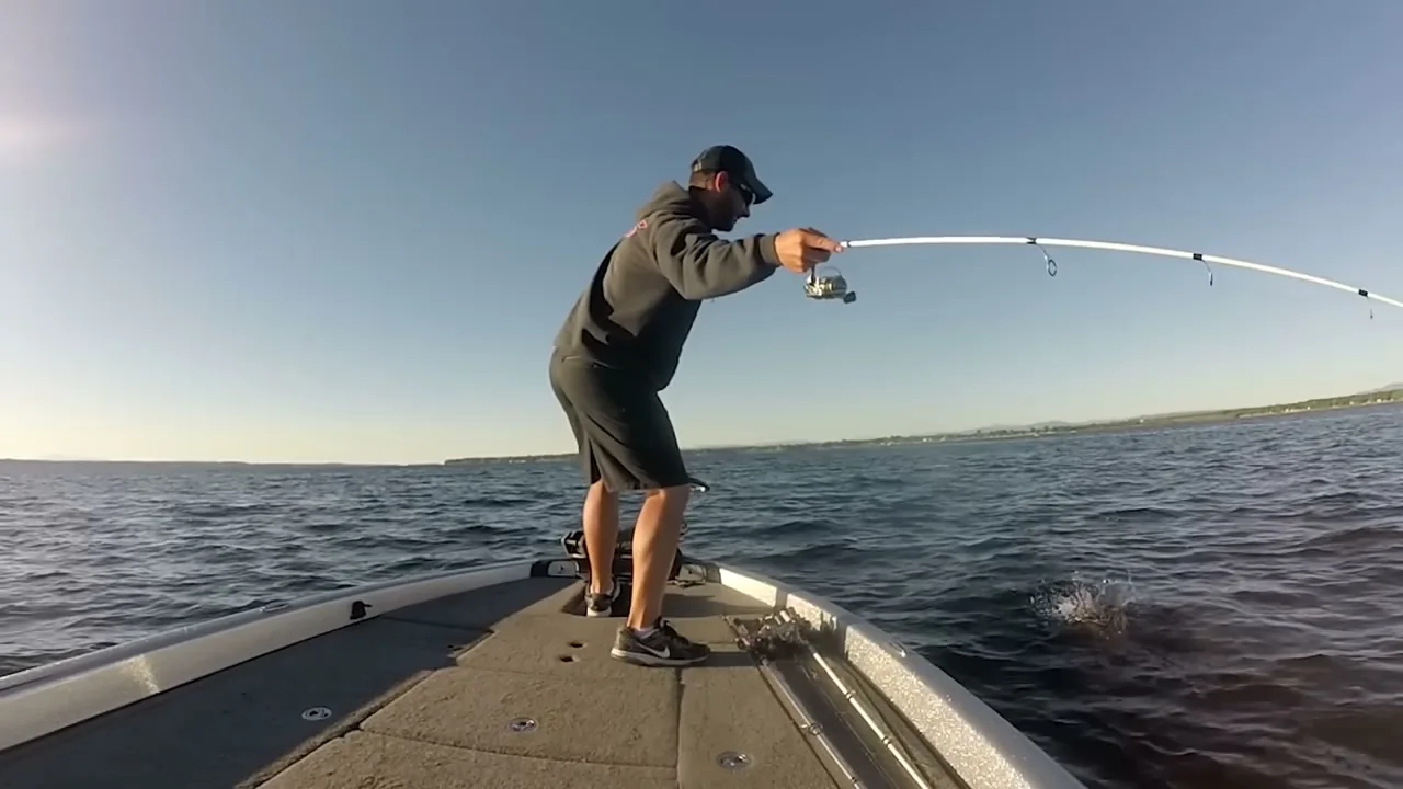 Better Bass Cash