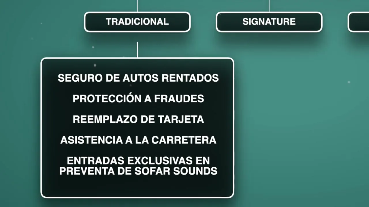 Tarjeta Visa